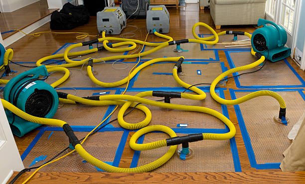 Professional Crawl Space Water Removal technician working in Alexandria, OH